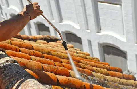 Nettoyage de toitures - Sarthe